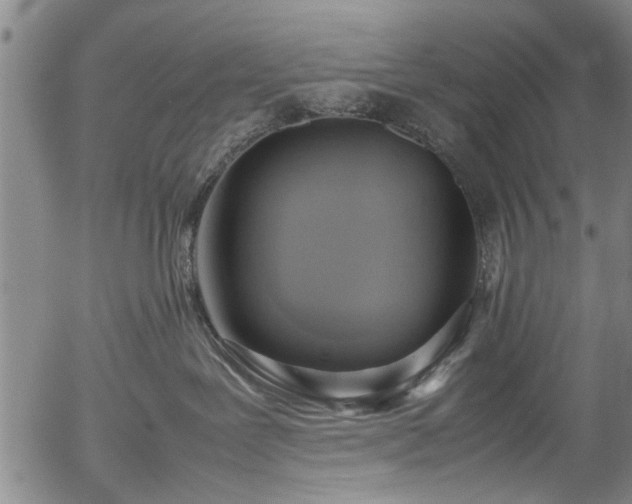 X0000054430239200508011406