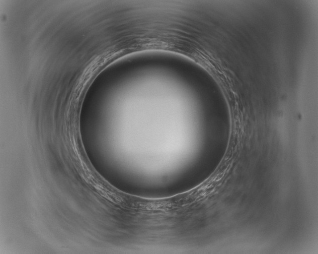 X0000054430241200508011405