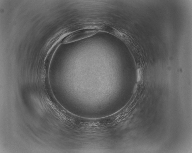 X0000054430243200508011405