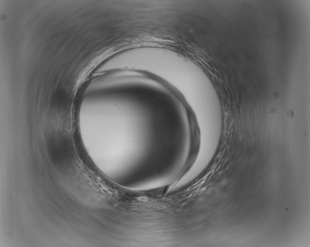 X0000054430244200508011405