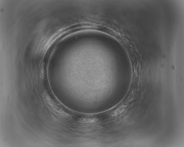 X0000054430247200508011405