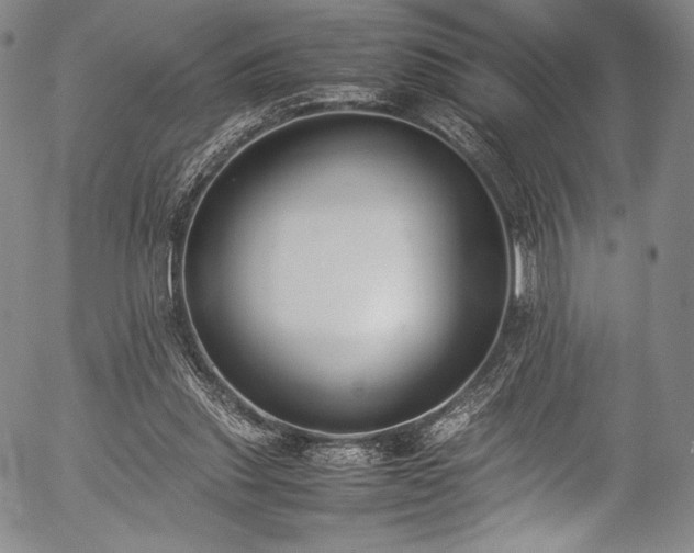 X0000054430253200508011405