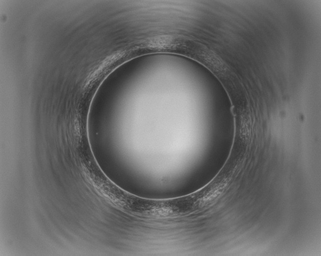 X0000054430256200508011405