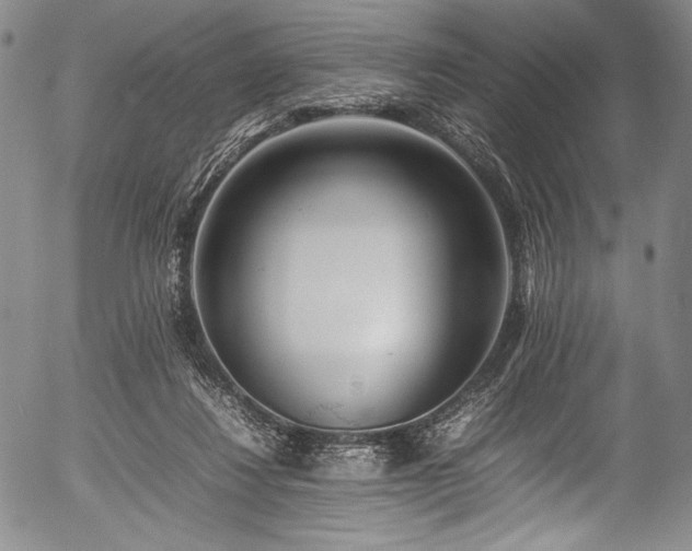 X0000054430260200508011405