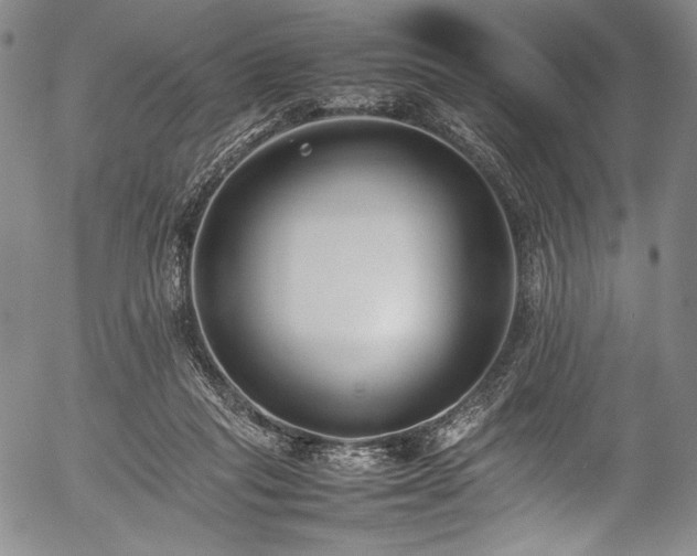 X0000054430261200508011405