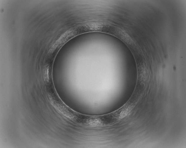 X0000054430262200508011405