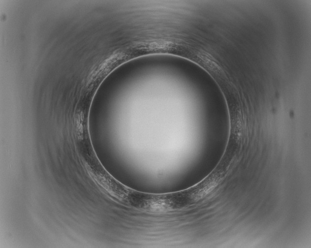 X0000054430264200508011405