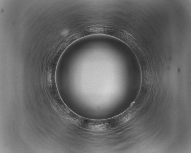 X0000054430267200508011405