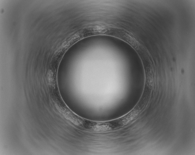 X0000054430270200508011405