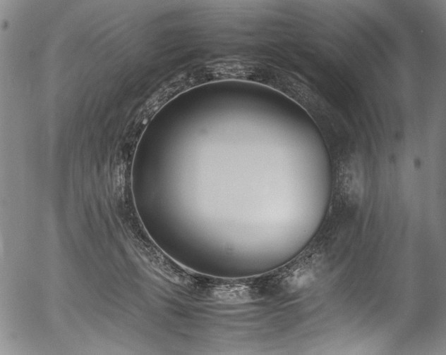 X0000054430271200508011405