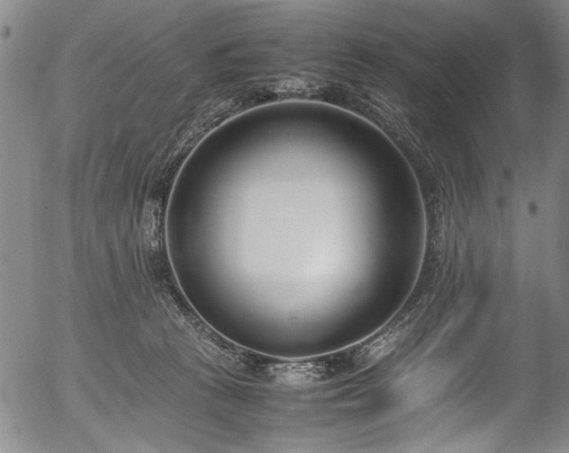 X0000054430273200508011405