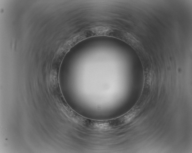 X0000054430283200508011405