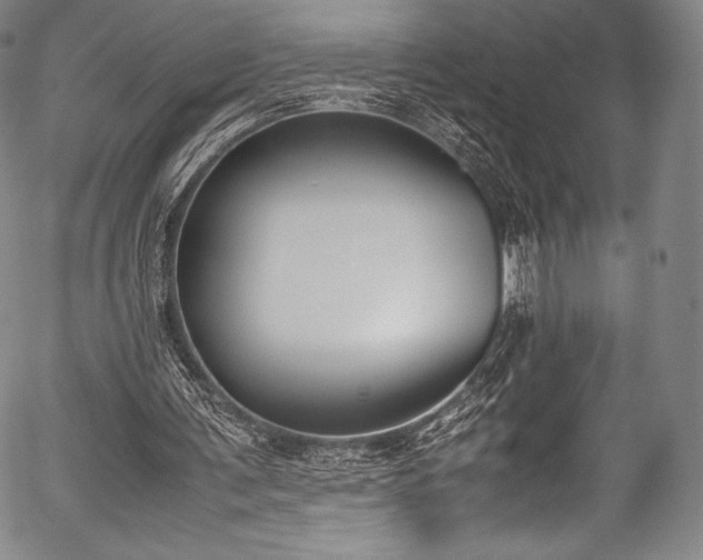 X0000054430291200508011405