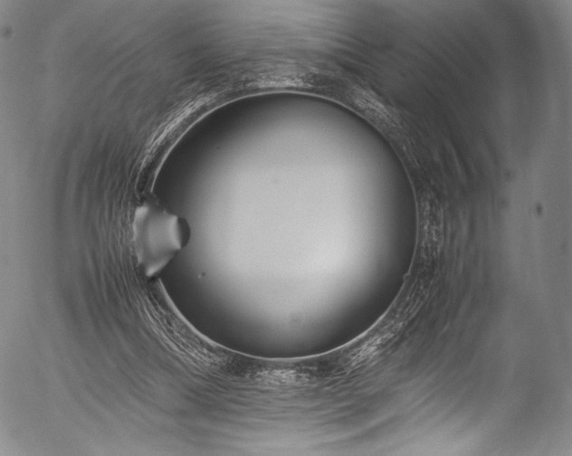 X0000054430298200508011404