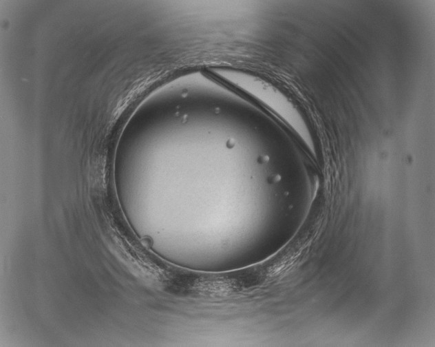 X0000054430299200508011404