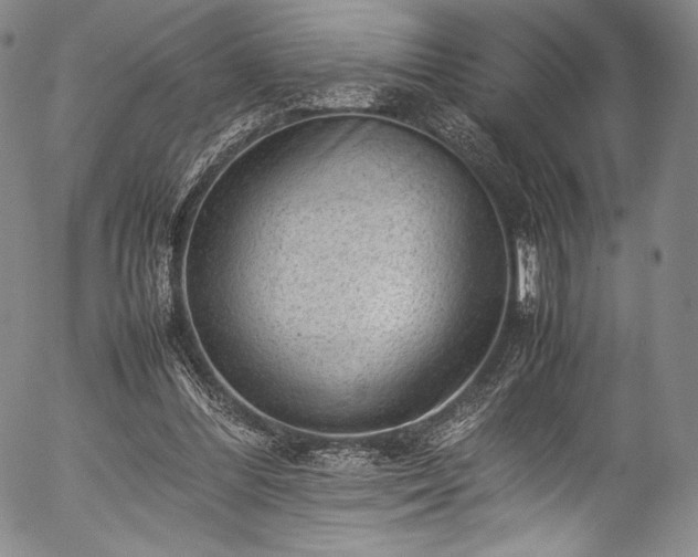 X0000054430300200508011404