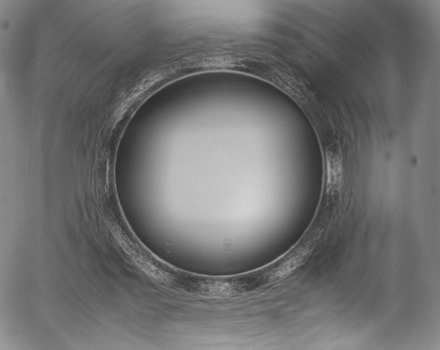 X0000054430301200508011404