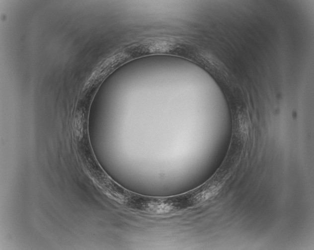 X0000054430311200508011404