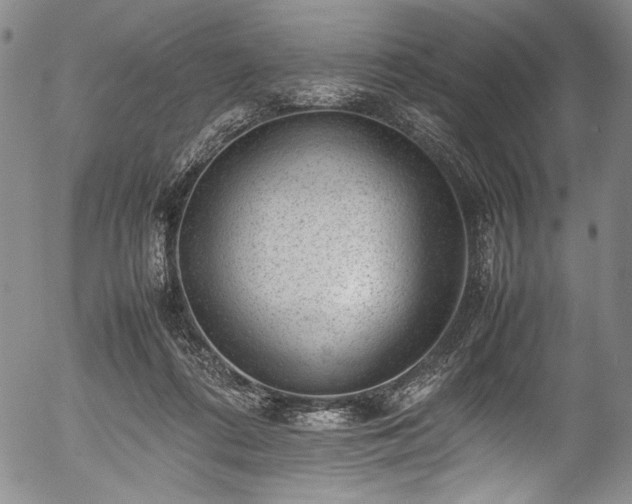 X0000054430312200508011404