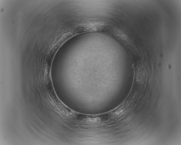 X0000054430314200508011404