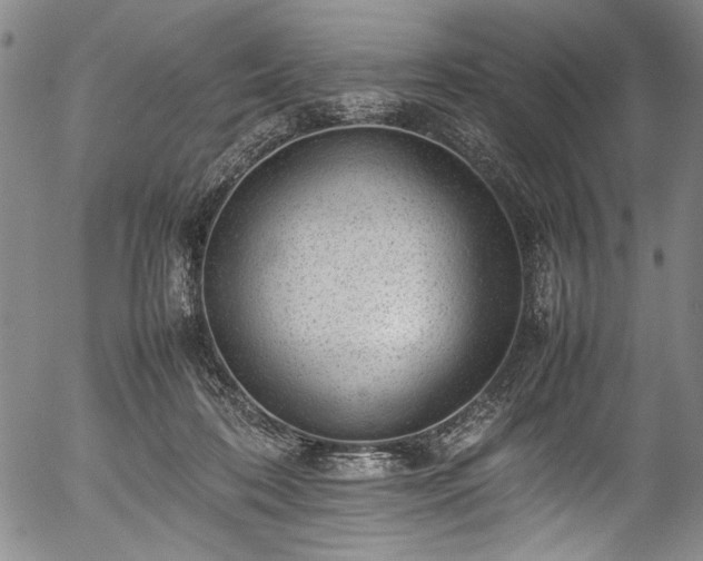 X0000054430316200508011404