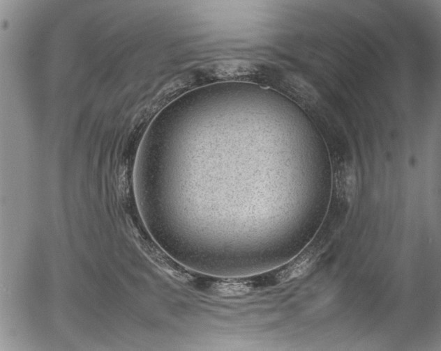 X0000054430327200508011404