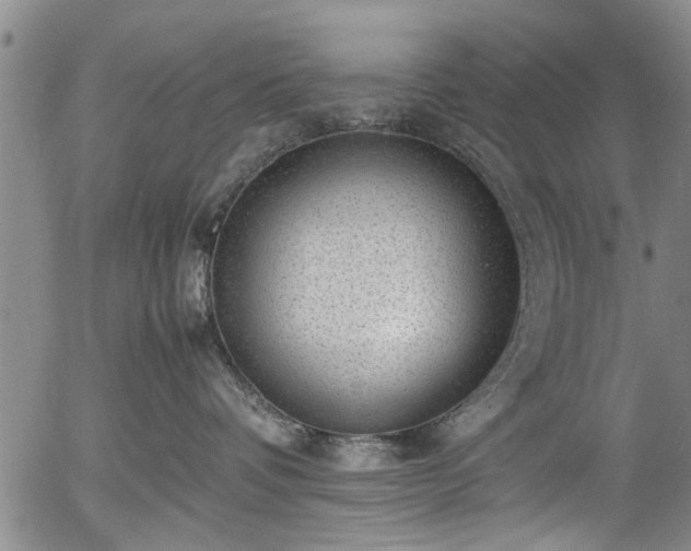 X0000054430336200508011404