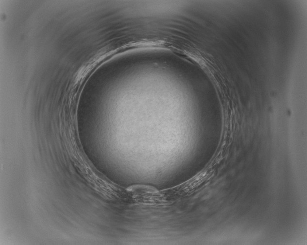 X0000054430337200508011403