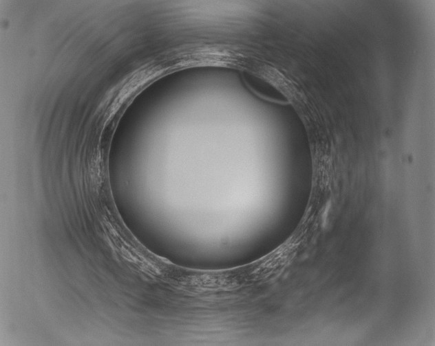 X0000054430338200508011403