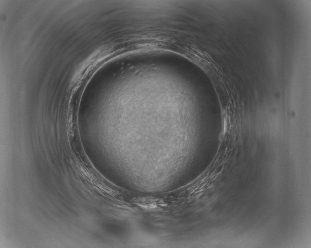 X0000054430339200508011403