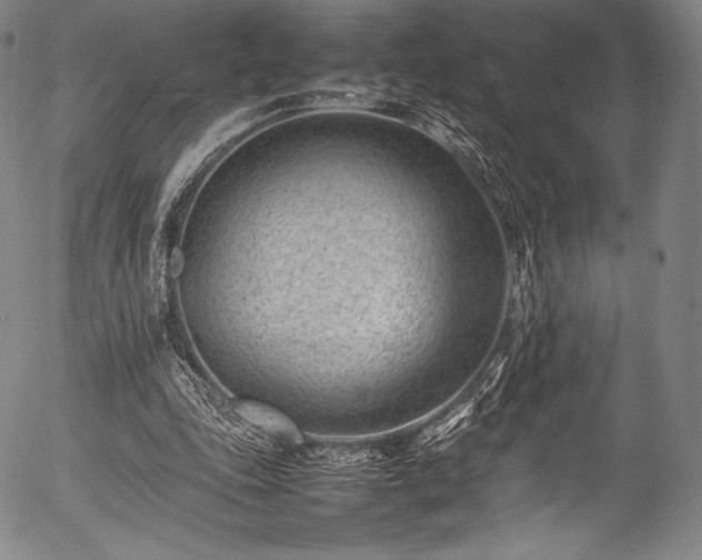 X0000054430343200508011403