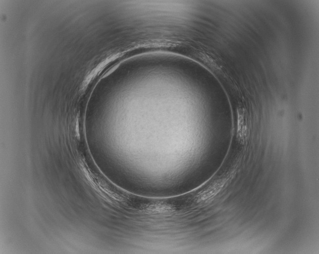 X0000054430348200508011403