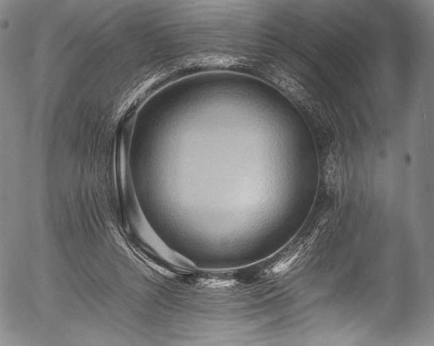 X0000054430352200508011403