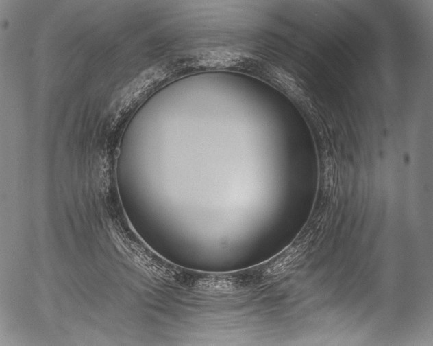 X0000054430354200508011403