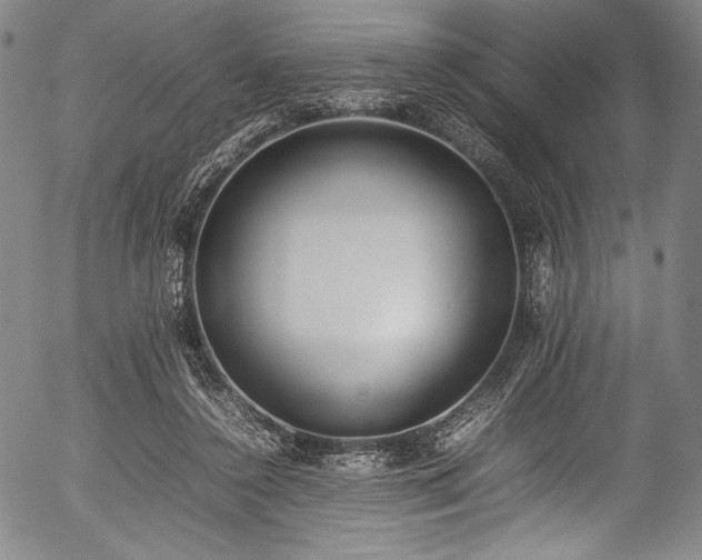 X0000054430356200508011403