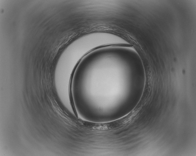X0000054430362200508011403