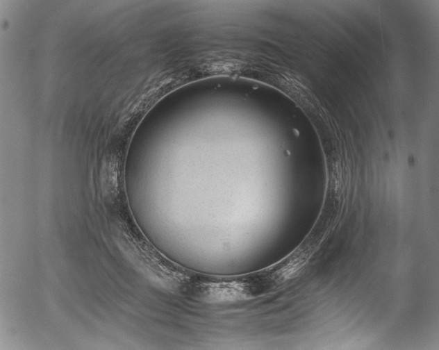 X0000054430363200508011403