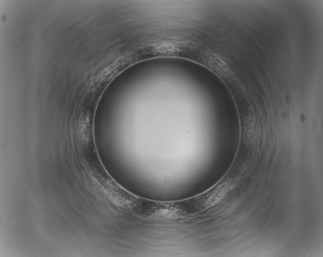 X0000054430364200508011403