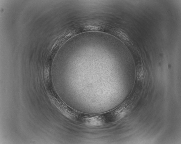 X0000054430365200508011403