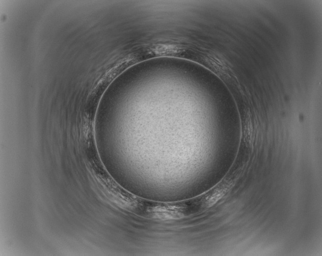X0000054430367200508011404
