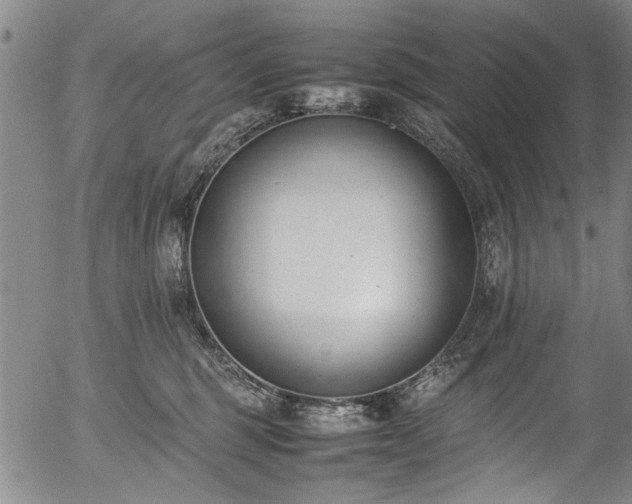 X0000054430375200508011404