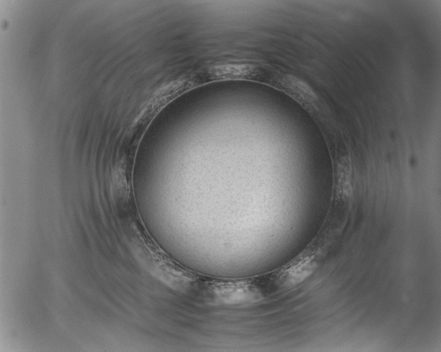 X0000054430377200508011404