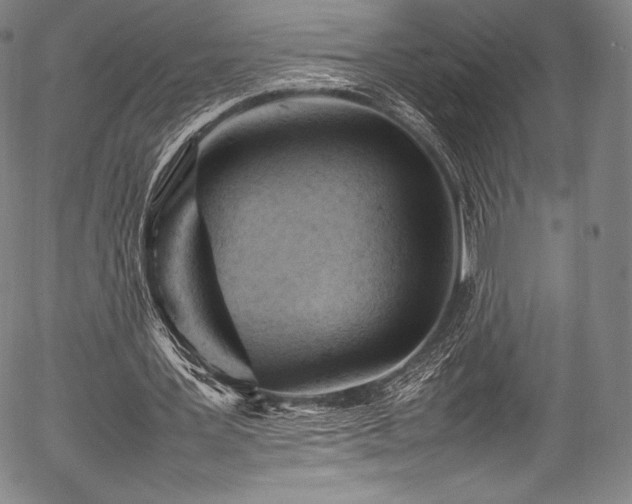 X0000054430387200508011403