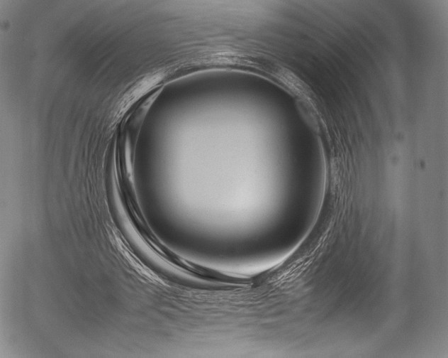 X0000054430389200508011403