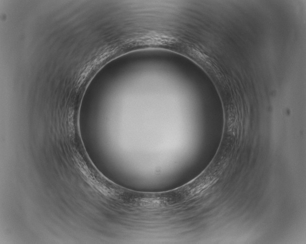 X0000054430394200508011403