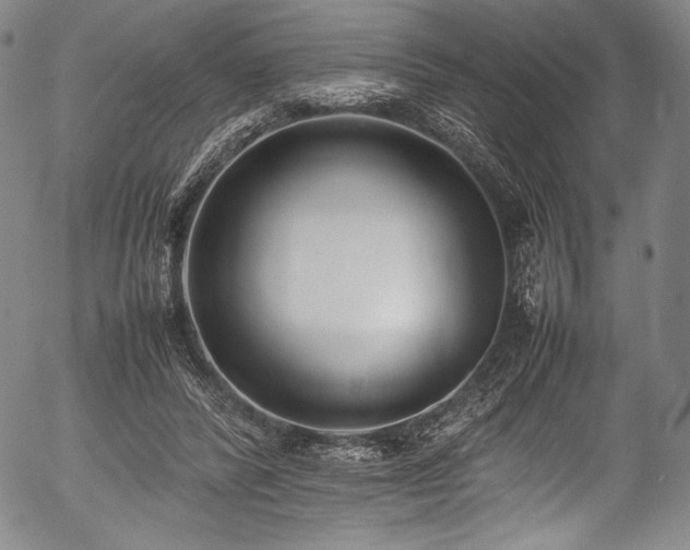 X0000054430400200508011403