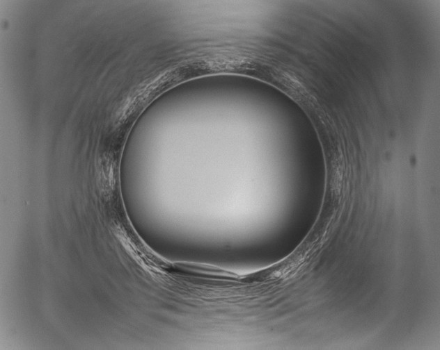 X0000054430405200508011403