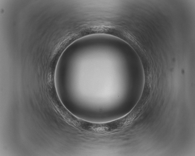 X0000054430407200508011403