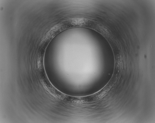 X0000054430408200508011403