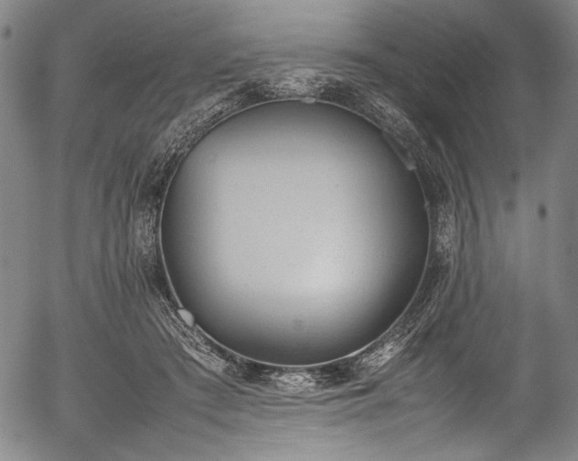 X0000054430409200508011403